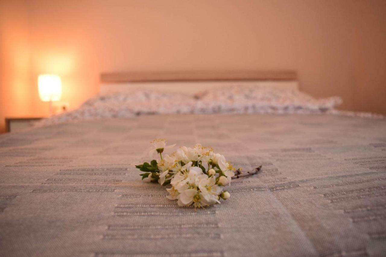 Vadszolo Apartman Balatonmáriafürdő Екстериор снимка